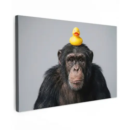 Chimpansee - Badeend - Grijs canvas 2cm klein -z3d