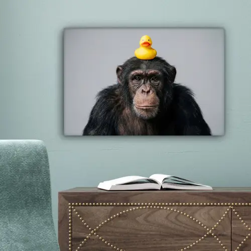 Chimpansee - Badeend - Grijs canvas 2cm klein -sfeer4