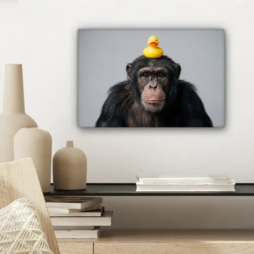 Chimpansee - Badeend - Grijs canvas 2cm klein -sfeer6