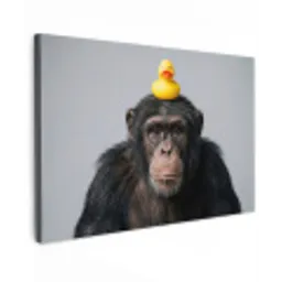 Chimpansee - Badeend - Grijs canvas 2cm klein -z3d
