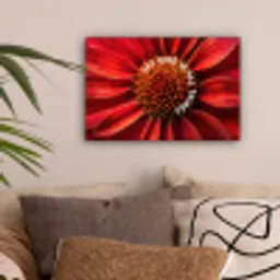 Close up - Bloem - Quote - Rood canvas 2cm klein -sfeer1