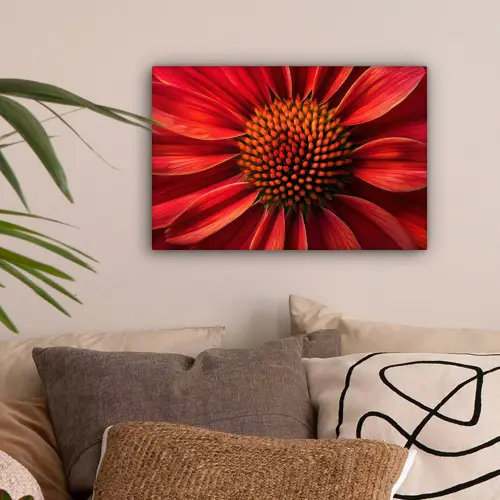Close up - Bloem- Rood canvas 2cm klein -sfeer1