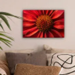 Close up - Bloem- Rood canvas 2cm klein -sfeer1
