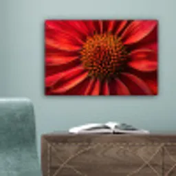Close up - Bloem- Rood canvas 2cm klein -sfeer4