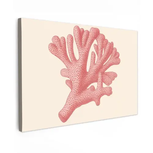Koraal - Stipjes - Roze canvas 2cm klein -z3d