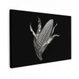 Maïskolf - Glanzend metaal - Elegant canvas 2cm klein -z3d