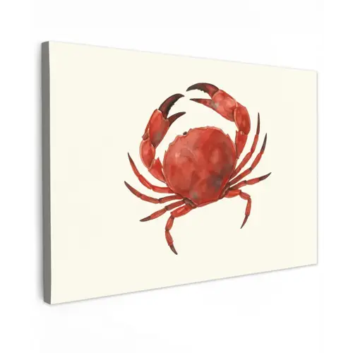 Krab - Felrood - Poten canvas 2cm klein -z3d