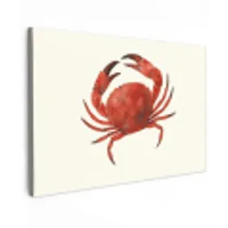 Krab - Felrood - Poten canvas 2cm klein -z3d
