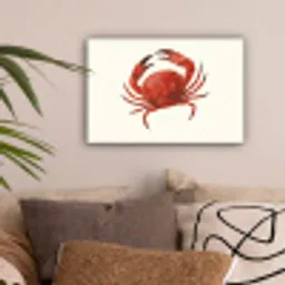 Krab - Felrood - Poten canvas 2cm klein -sfeer1