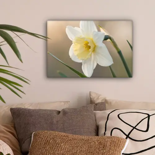 Narcis - Bloem - Minimalistisch canvas 2cm klein -sfeer1