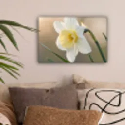 Narcis - Bloem - Minimalistisch canvas 2cm klein -sfeer1