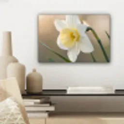 Narcis - Bloem - Minimalistisch canvas 2cm klein -sfeer6