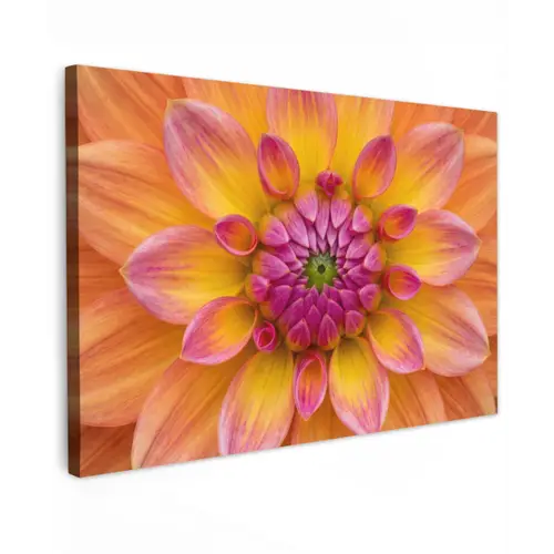 Dahlia - Bloem - Oranje canvas 2cm klein -z3d