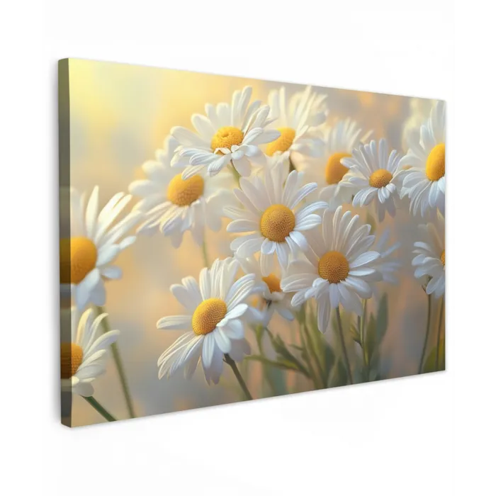 Madeliefjes - Wit - Zonlicht canvas 2cm klein -z3d