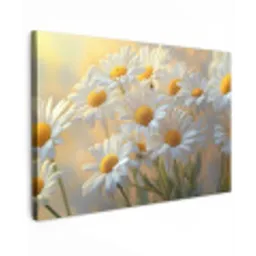 Madeliefjes - Wit - Zonlicht canvas 2cm klein -z3d