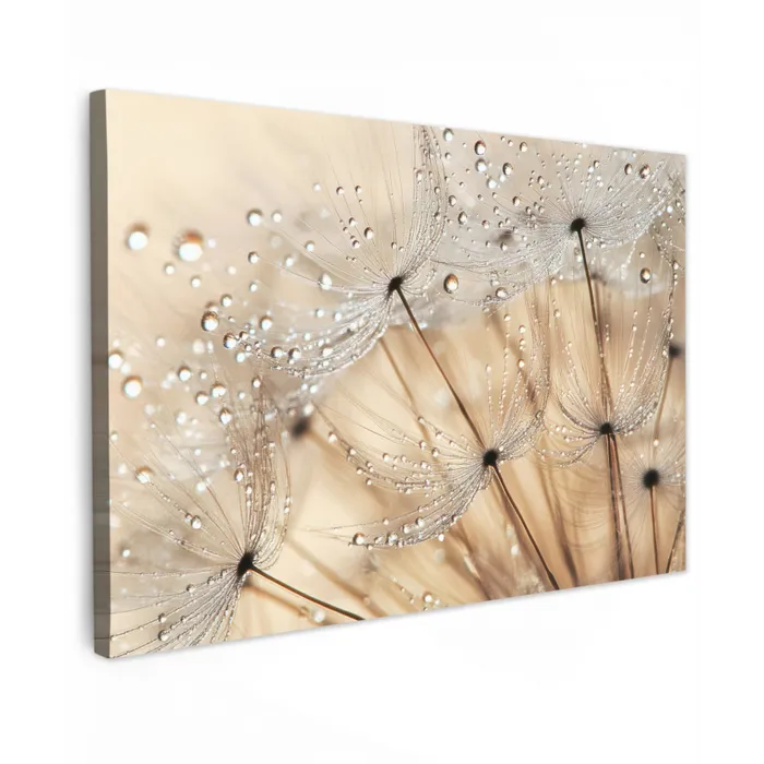 Paardenbloem - Abstract - Natuur - Beige canvas 2cm klein -z3d
