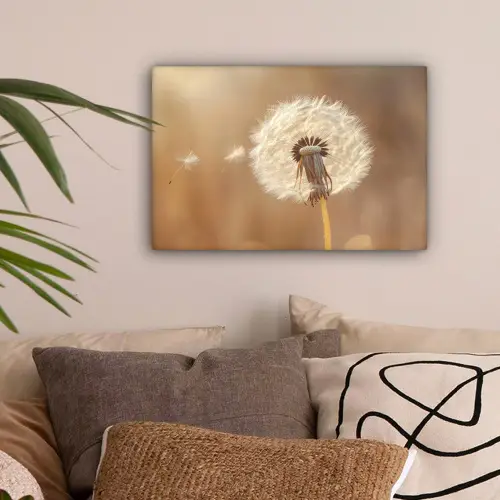 Paardenbloem - Beige - Natuur - Bloem canvas 2cm klein -sfeer1