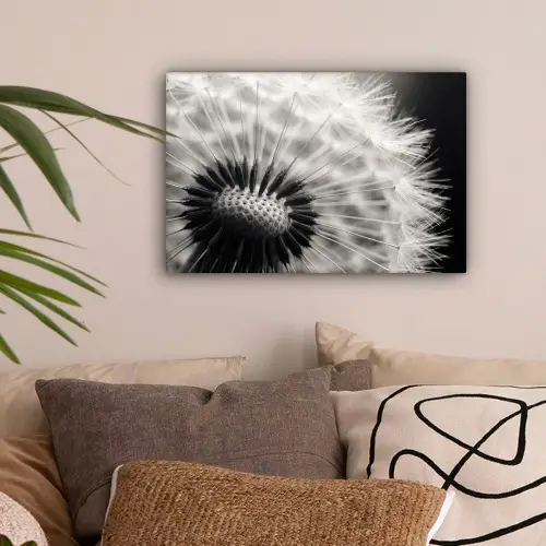 Paardenbloem - Zwart - Wit canvas 2cm klein -sfeer1