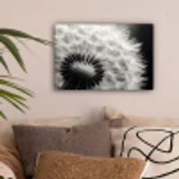Paardenbloem - Zwart - Wit canvas 2cm klein -sfeer1