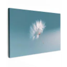 Paardenbloempluisje - Blauw - Lucht canvas 2cm klein -z3d