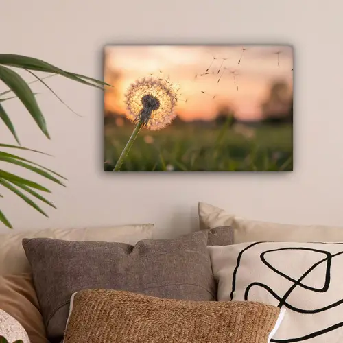 Paardenbloem - Zonsondergang - Veld canvas 2cm klein -sfeer1