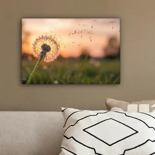 Paardenbloem - Zonsondergang - Veld canvas 2cm klein -sfeer3