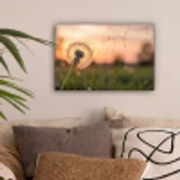 Paardenbloem - Zonsondergang - Veld canvas 2cm klein -sfeer1