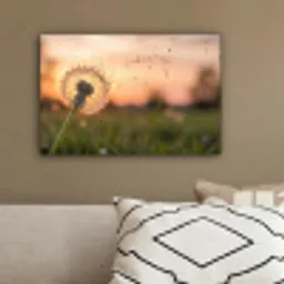 Paardenbloem - Zonsondergang - Veld canvas 2cm klein -sfeer3
