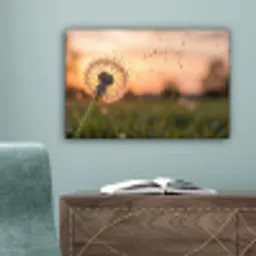 Paardenbloem - Zonsondergang - Veld canvas 2cm klein -sfeer4