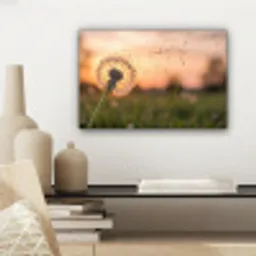 Paardenbloem - Zonsondergang - Veld canvas 2cm klein -sfeer6