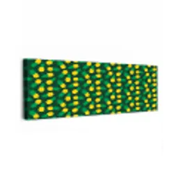 Donkergroen - Ananas - Bladeren canvas 2cm klein 828 -z3d