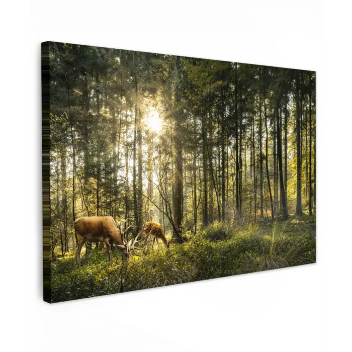 Hert - Natuur - Bos canvas 2cm klein -z3d