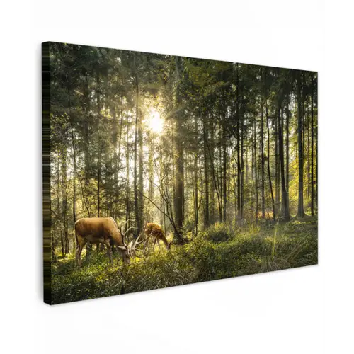 Hert - Natuur - Bos canvas 2cm klein -z3d