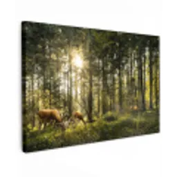 Hert - Natuur - Bos canvas 2cm klein -z3d