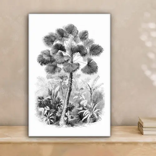Design - Zwart wit - Natuur canvas 2cm klein -sfeer1