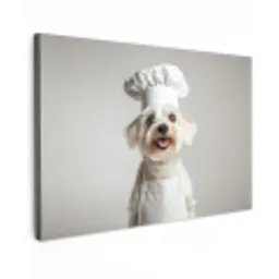 Hond - Wit - Kok canvas 2cm klein -z3d