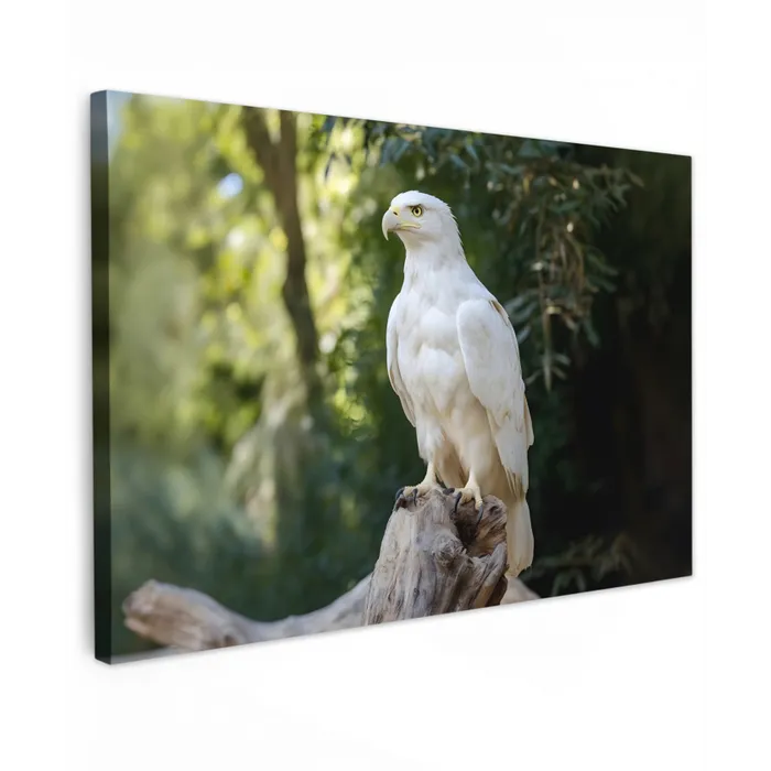 Arend - Hout - Wit - Planten canvas 2cm klein -z3d