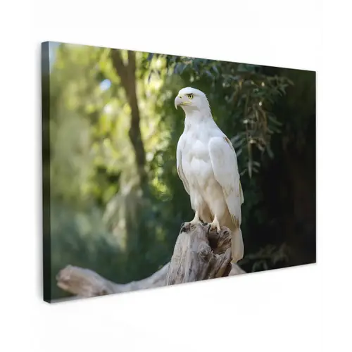 Arend - Hout - Wit - Planten canvas 2cm klein -z3d