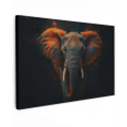 Olifant - Oranje - Oren canvas 2cm klein -z3d
