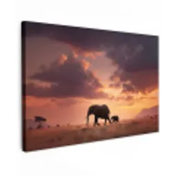 Olifanten - Grasland - Zonsondergang canvas 2cm klein -z3d