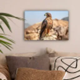 Valk - Vogel - Rots - Macht canvas 2cm klein -sfeer1