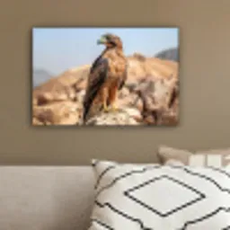 Valk - Vogel - Rots - Macht canvas 2cm klein -sfeer3
