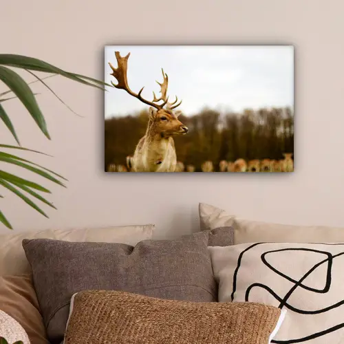 Damhert - Bos - Kudde - Dieren - Natuur canvas 2cm klein -sfeer1