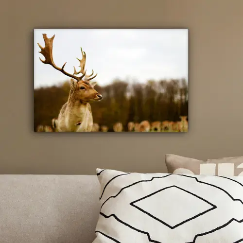 Damhert - Bos - Kudde - Dieren - Natuur canvas 2cm klein -sfeer3