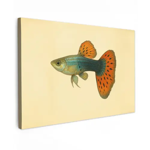 Vis - illustratie - Stippen - Oranje canvas 2cm klein -z3d
