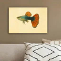 Vis - illustratie - Stippen - Oranje canvas 2cm klein -sfeer3