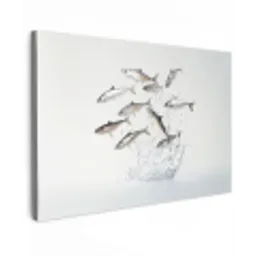 Vissen - Water - Wit canvas 2cm klein -z3d