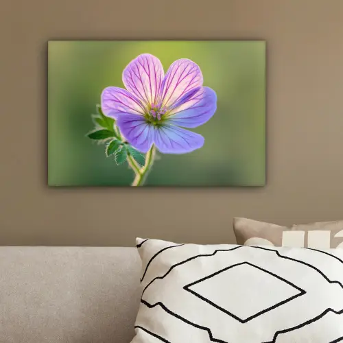 Bloem - Close up - Paars canvas 2cm klein -sfeer3