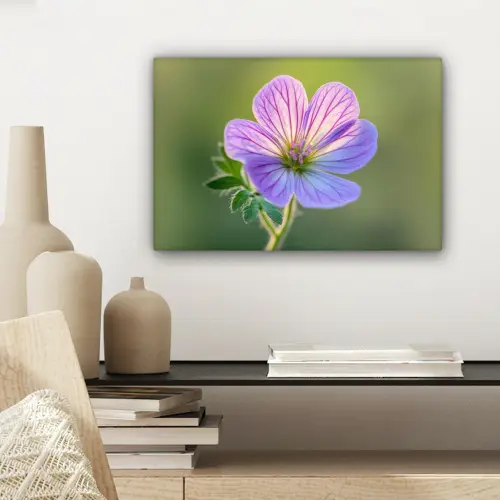 Bloem - Close up - Paars canvas 2cm klein -sfeer6