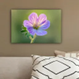 Bloem - Close up - Paars canvas 2cm klein -sfeer3